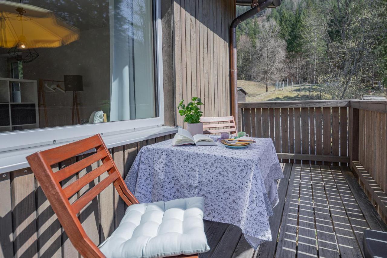 Bienenkunde Lunz Apartment Lunz am See Exterior foto