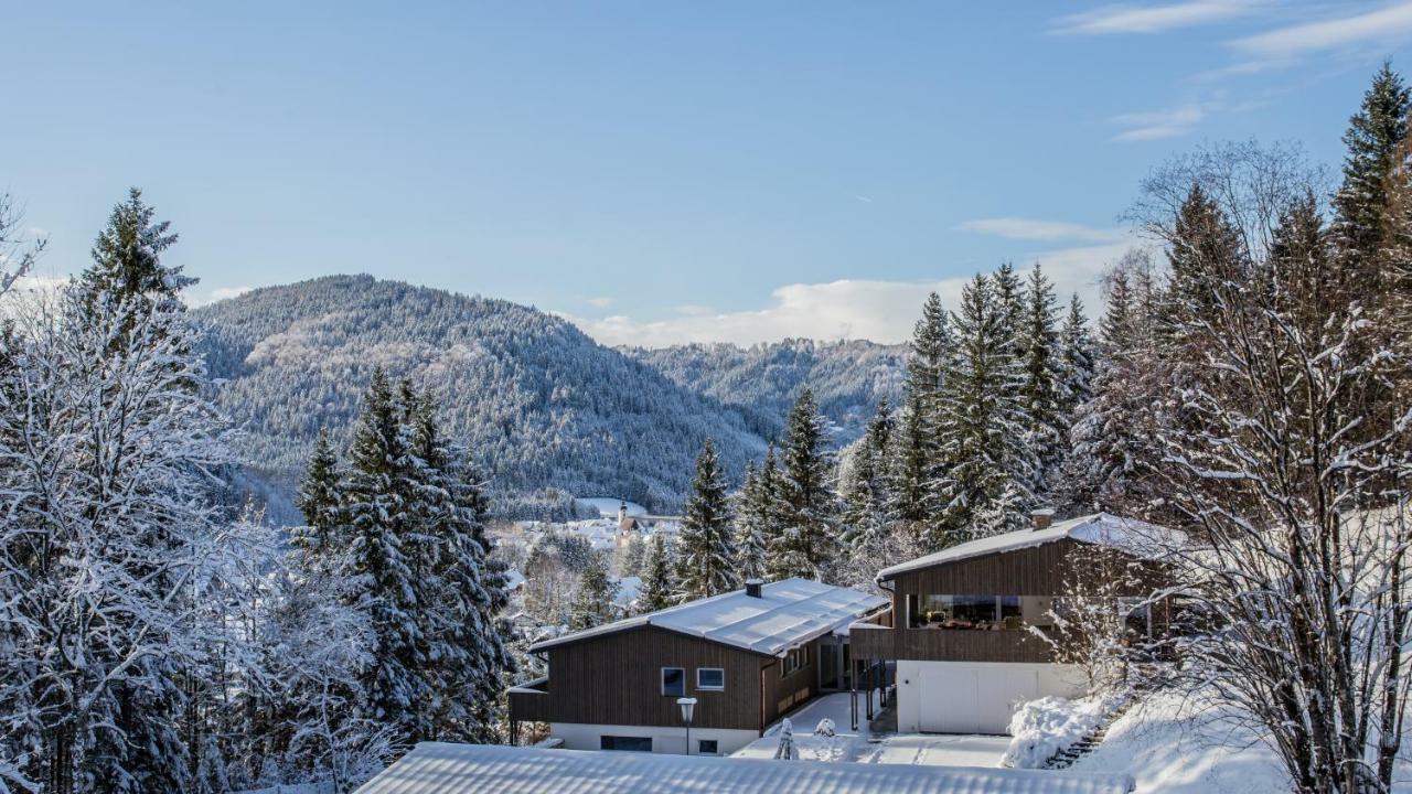 Bienenkunde Lunz Apartment Lunz am See Exterior foto